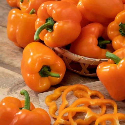 Orange King Peppers SP112-20
