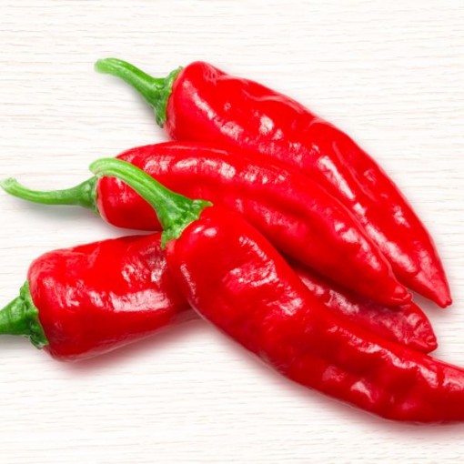 Halaby Peppers HP2568-10