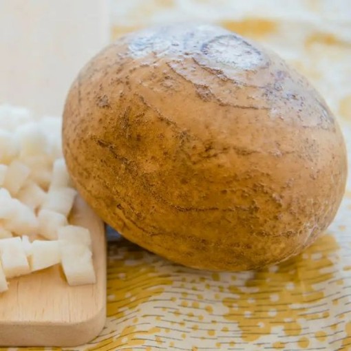 Jicama JA1-25