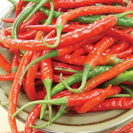 Cayenne Peppers HP2583-20