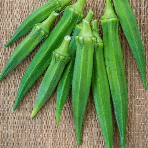 Go Big Okra OK41-10