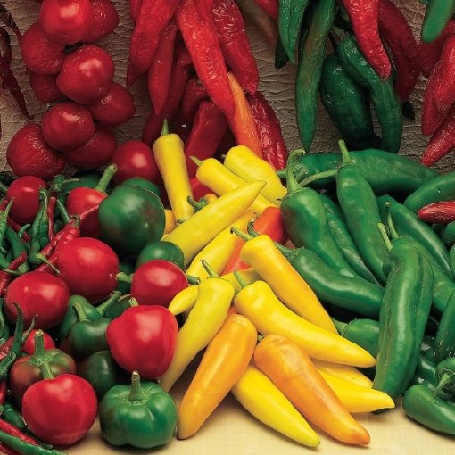 Hot Salsa Blend Peppers HP2584-20