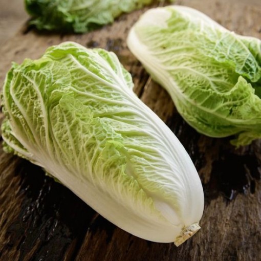 Michihili Chinese Cabbage CB5-100