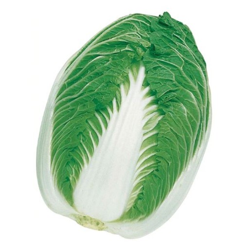 Blues Chinese Cabbage CB21-100