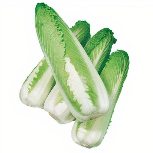 Green Rocket Chinese Cabbage CB59-100