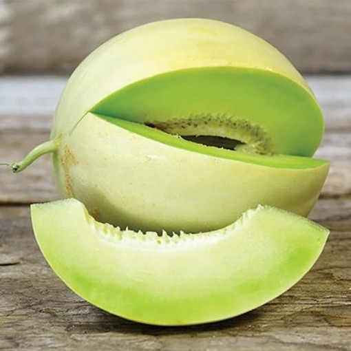 Honeydew Green Melons CA4-20
