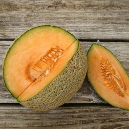 Sierra Gold Melons CA11-20