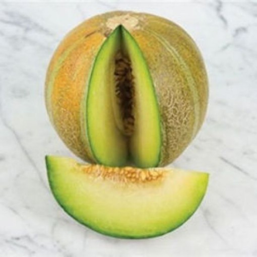 Ogen Israel Melons CA37-20