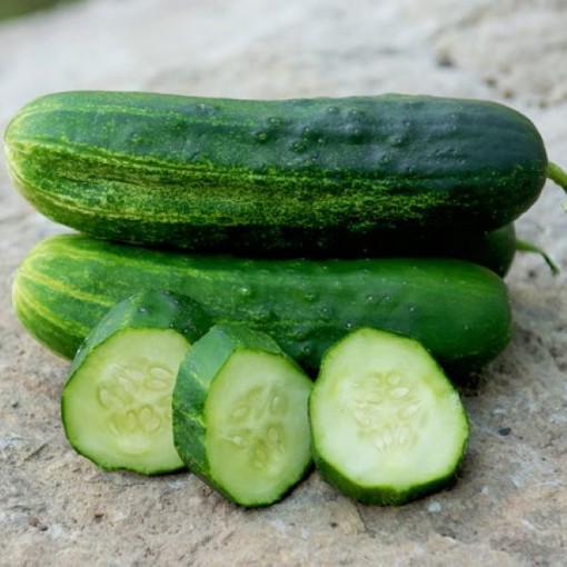 Wautoma Cucumbers CU49-20