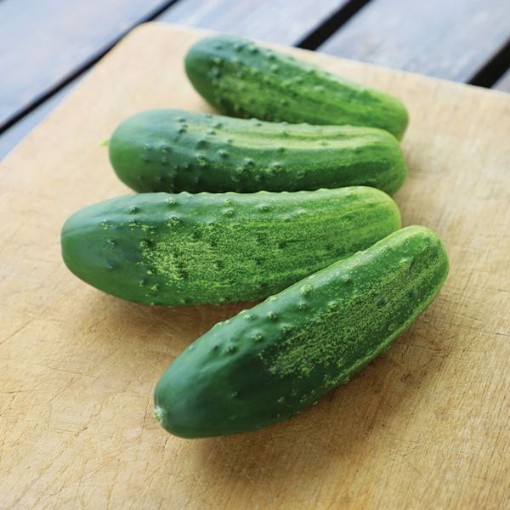 Regal Cucumbers CU71-20
