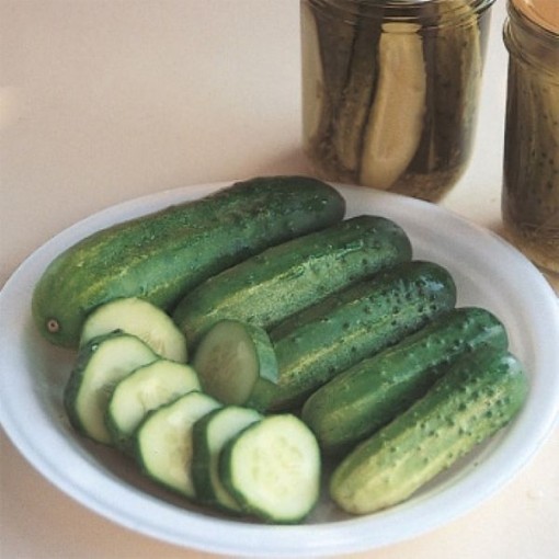 County Fair Cucumbers CU78-20