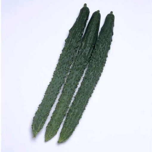 Palace Pride Cucumbers CU95-10