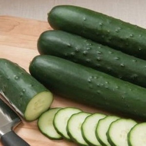Olympian Cucumbers CU107-20