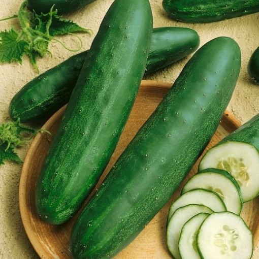 Hartley Cucumbers CU17-20