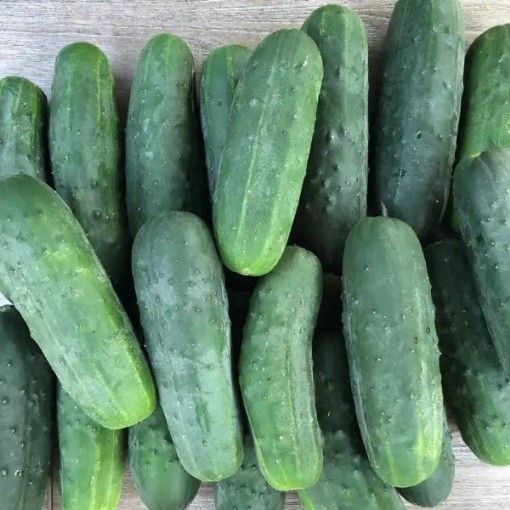 Super Max Cucumbers CU126-20