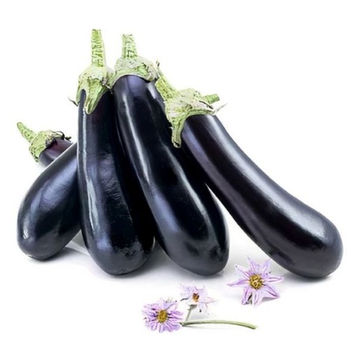Megal Eggplants EG13-25
