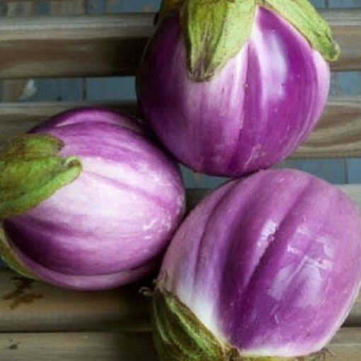 Rosa Bianca Eggplants EG21-50
