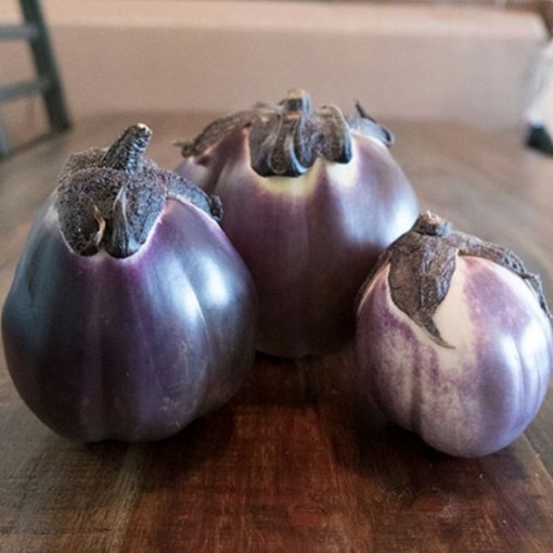 Prosperosa Eggplants EG28-50