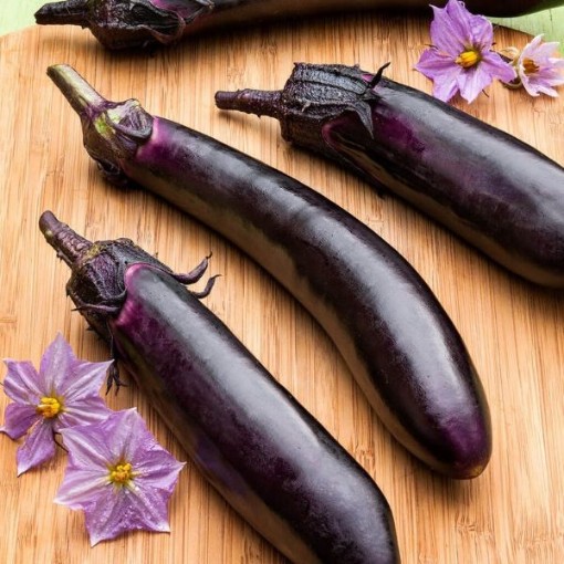Ichiban Eggplants EG29-25