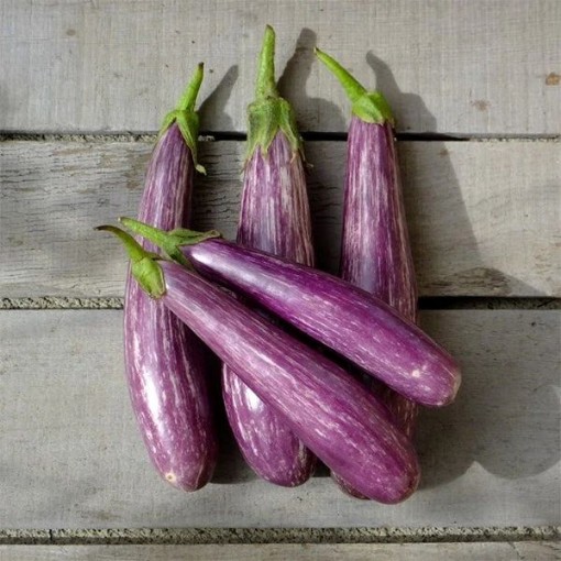 Fairy Tale Eggplants EG37-25