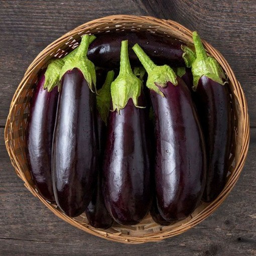 Diamond Eggplants EG38-50