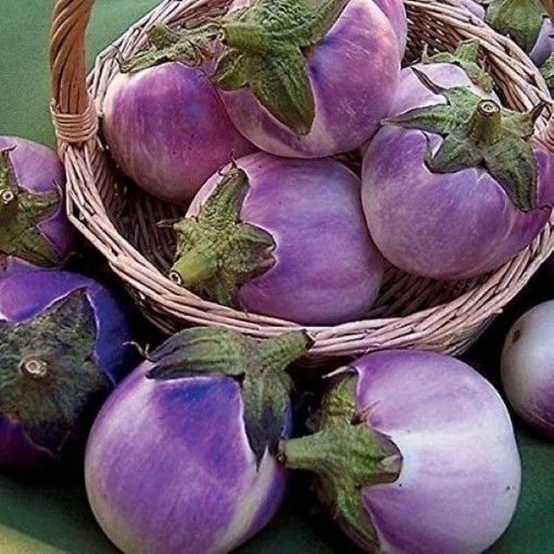 Round Mauve Eggplants EG42-50