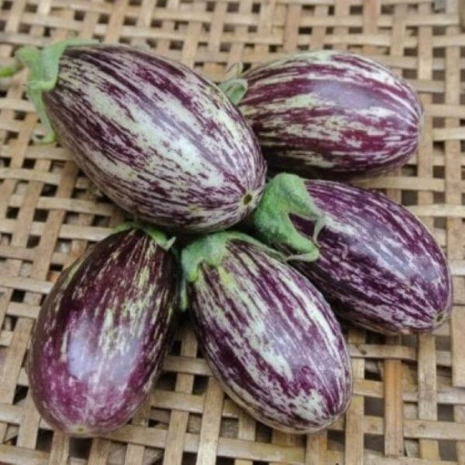 Udumalapet Eggplants EG45-50