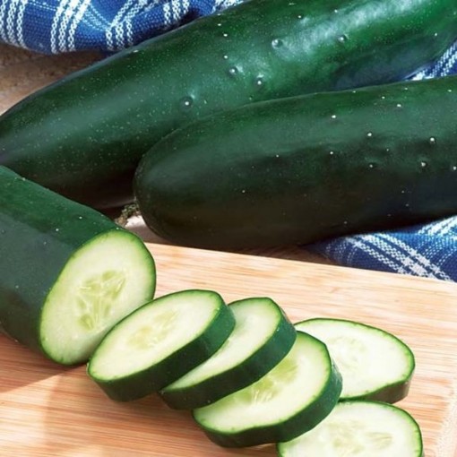 Diomede Cucumbers CU50-10