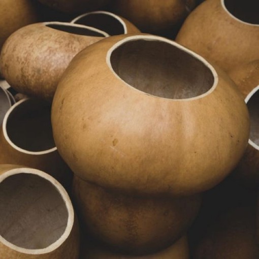 Bushel Gourds GD2-10