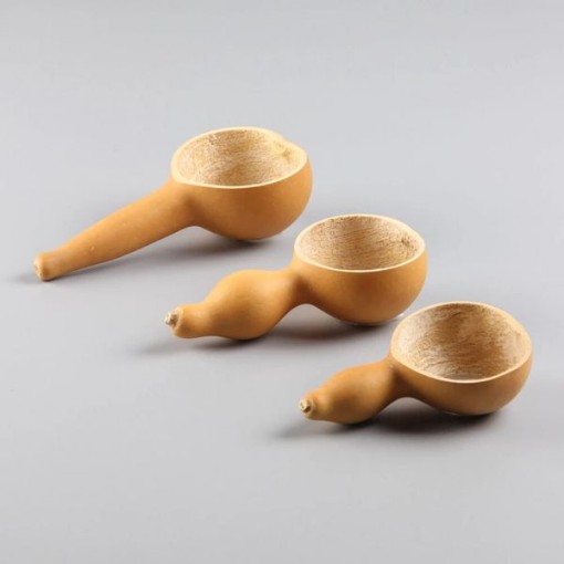 Spoon Gourds GD14-25