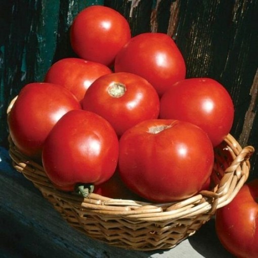Basket Vee Tomato TM350-10