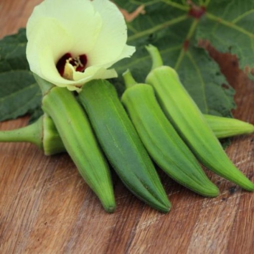 Jade Okra OK18-50