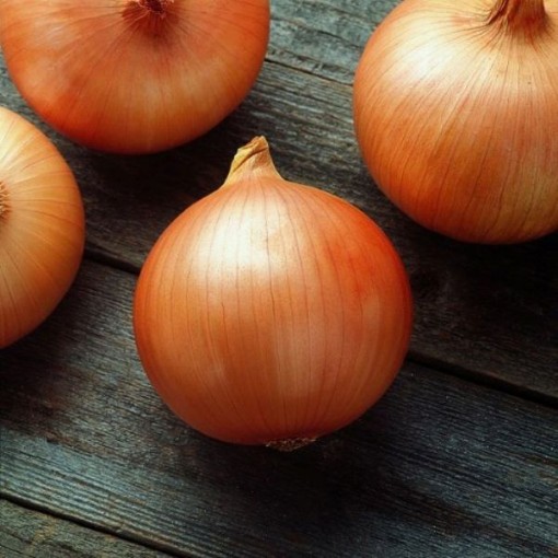 Candy Onions ON3-250