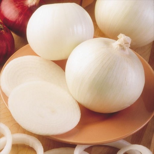 Super Star Onions ON12-100