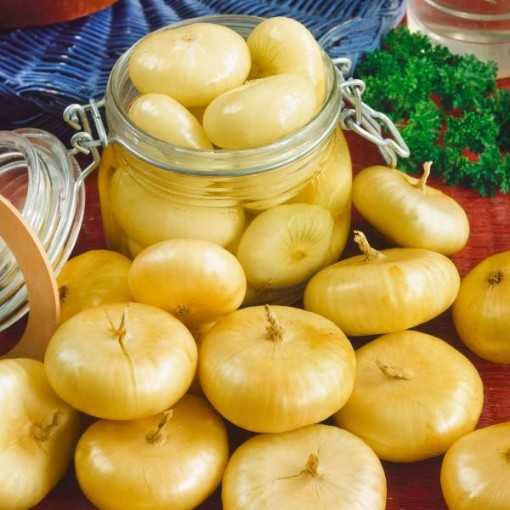 Borettana Cipolloni Onions ON32-250