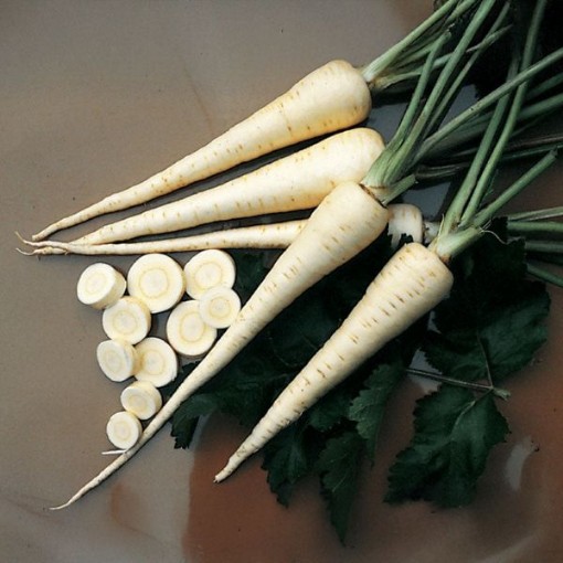 Harris Model Parsnips PS2-250