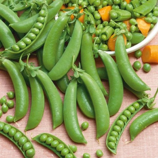 Sugar Snap Peas PE17-50