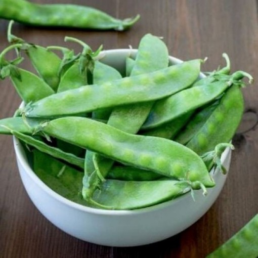 Dwarf White Sugar Snow Peas PE35-50