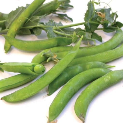 Sugar Ann Snap Peas PE6-50