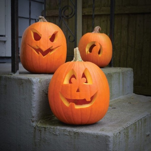 Jack O'Lantern Pumpkins PM7-20