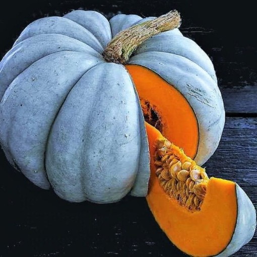 Jarrahdale Pumpkins PM18-20