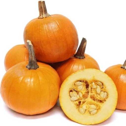 Baby Pam Pumpkins PM21-20