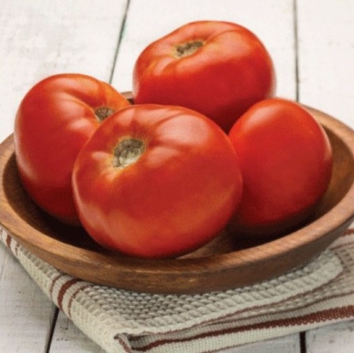 Dixie Red Tomato TM890-10