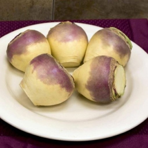 Laurentian Rutabaga RU2-100