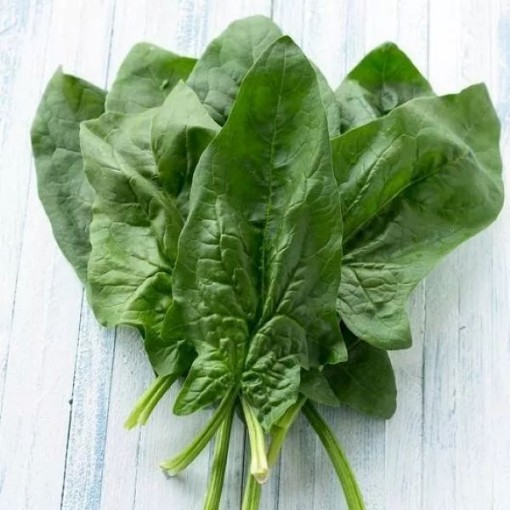 Viroflay Spinach SN7-250