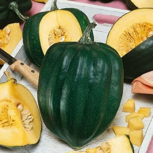 Table King Squash SQ31-25