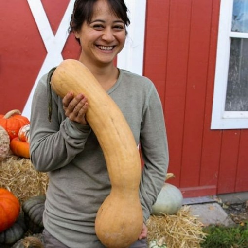 Tahitian Butternut Squash SQ71-10