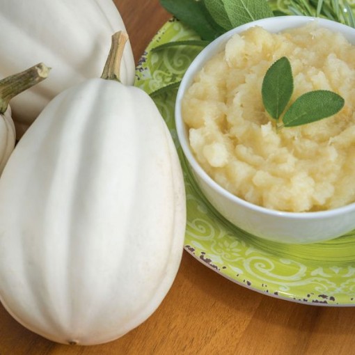 Mashed Potato Squash SQ121-25
