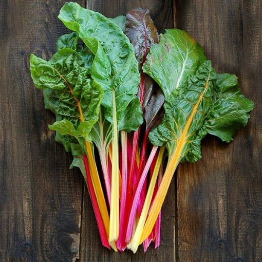 Rainbow Swiss Chard SW9-100