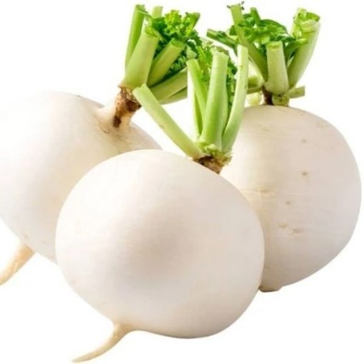 Shogoin Turnips TP9-500